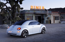 Beetle Ragster