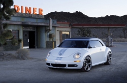 Beetle Ragster