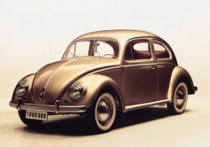 1 Million Beetle